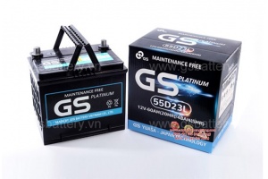 GS 55D23L
